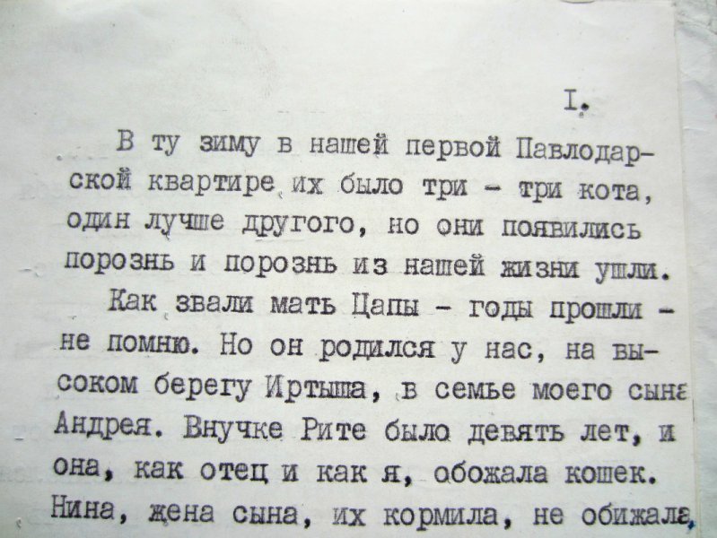 Рассказ о кошках