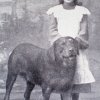 Анастасия Цветаева с собакой Тюрком, Санкт-Блазиен, 1905